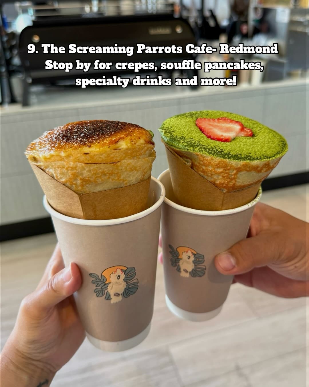 Food and drinks at The Screaming Parrots Cafe